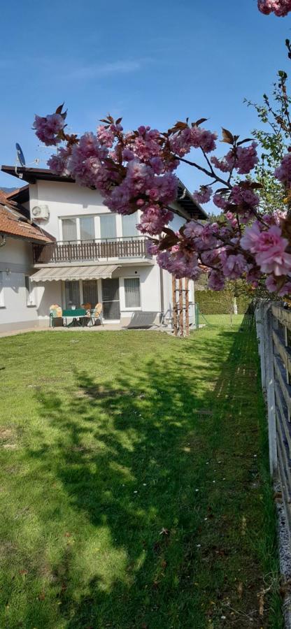 Apartmaji Mojca Krize Exterior photo